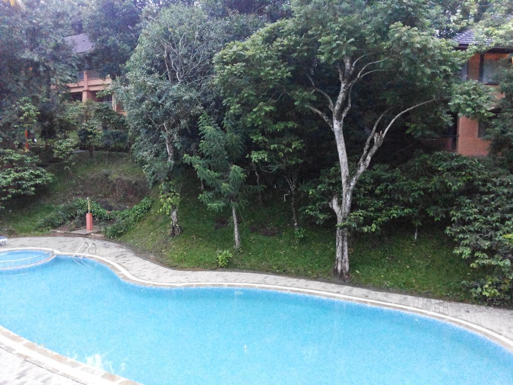 Abad Green Forest Thekkady Kumily Bagian luar foto